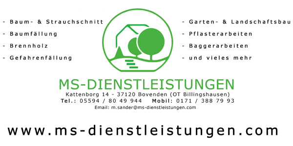 MS-Dienstleistung